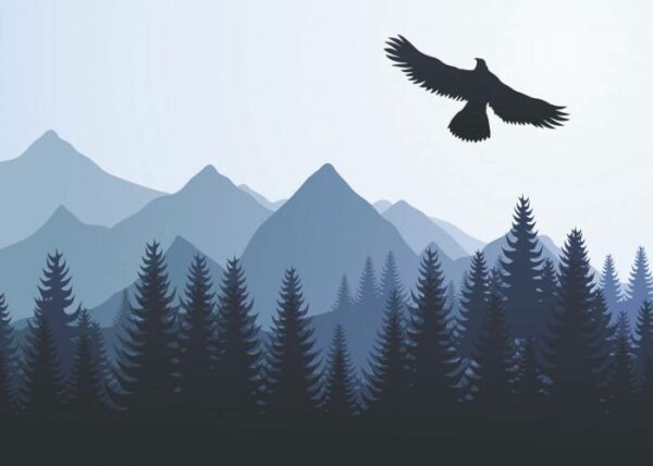 Печать на холсте Орел над лесом