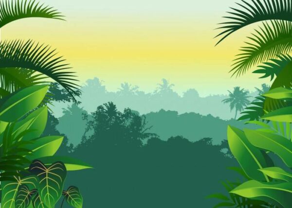 Постеры Тропический лес