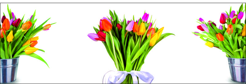 Букеты тюльпанов, дизайн #05987