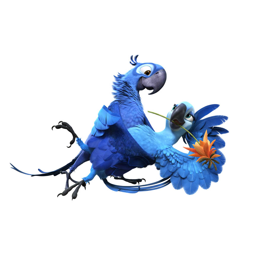 Rio bird dance